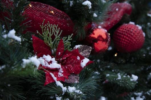 Explorez les merveilles magiques du village du Père Noël au Pôle Nord avec la photo de merveilleuses boules de Noël de Mère Noël!